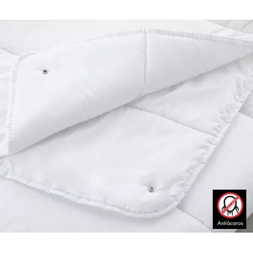 relleno cuatro estaciones 2