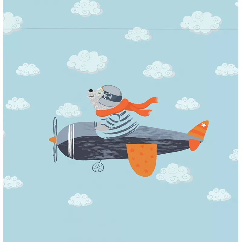 detalle funda aviador